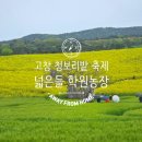 GS25 고창중앙점 | 고창 청보리밭 실시간 유채꽃 축제 학원농장 주차장