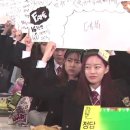 펫미인 이미지