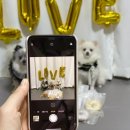 까까묵자 이미지