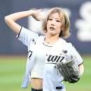 아르테미스 카카오 검색결과