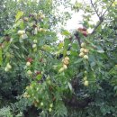 갈마리 경로당 이미지