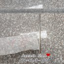 G3868 이미지