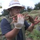 부자한우농장 이미지