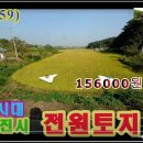 양지-3170 이미지