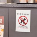 홈플러스 연수점(밀레쥬) | 인천 쇼핑몰 스퀘어원 애견동반 주말나들이 반려견일상 ㅋㅋ