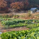 부산농장 이미지