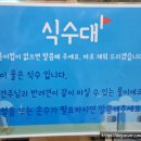 두리멍쉴 애견유치원 이미지