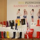 플라잉독 이미지