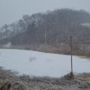 명가식당해장국 이미지