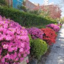 THE채움공인중개사사무소 이미지