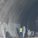 순천-27호 이미지