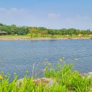 송도 새아침공원 이미지