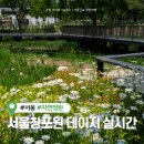 118-2-000013 | 서울창포원 주차장 피크닉 서울꽃구경 5월 데이지 명소 직접 방문 후기