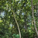 봉제산 담소터 화장실 이미지