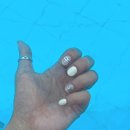 베트남 아트 토크 이미지