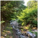 여울목식당 이미지