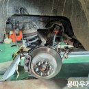 붕따우게러지 이미지