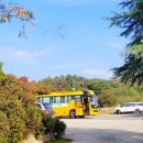 행잉플랜트 공기정화식물체험 이미지