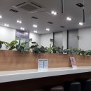 키즈드림아이엠씨병원 이미지