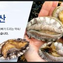 삼마수산 네이버블로그