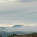 오늘도 신선 이미지