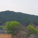 심건축사사무소주