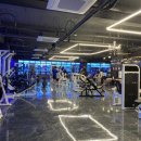 온리스포츠 네이버블로그