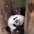 월드목욕탕 이미지