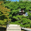 알라딘 메디칼 이미지