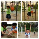 은빛초교 이미지