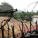 내곡동-5 이미지