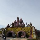 함평국화축제 이미지