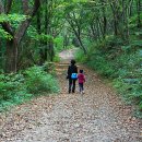 **나라안 테마 別 旅行地 20곳 추천 이미지