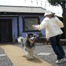 레프트핸더 스테이 이미지