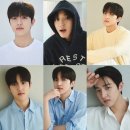 에이스팩토리 더팩트