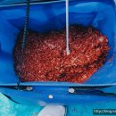 늑도민박 이미지