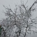 동해시-37 이미지