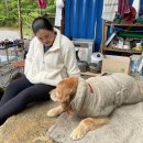 모두의건강 이미지