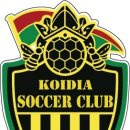 코이디아 이미지