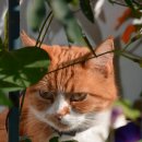 리치에스티 이미지