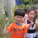 동산초등학교 병설유치원 이미지