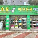 BOB 애견용품 아울렛 네이버블로그