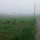 금지면 택촌마을 이미지