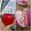 아곡농장 이미지