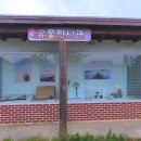 창원 다호리고분군 이미지