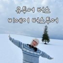 미미세탁소 | 내돈내산 5만원대 예약 가능한 삿포로 비에이 버스투어 유투어버스 닝구르테라스