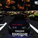코르기니