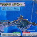 신지도