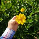 천명농장 이미지