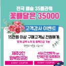 원카인테리어 이미지